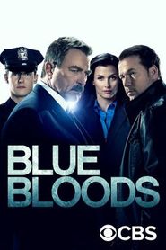 Blue Bloods - Crime Scene New York