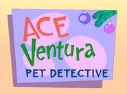 Ace Ventura: Pet Detective