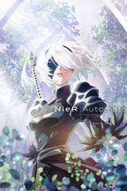 NieR: Automata Ver 1.1a