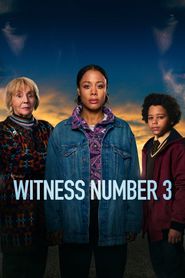 Witness No. 3